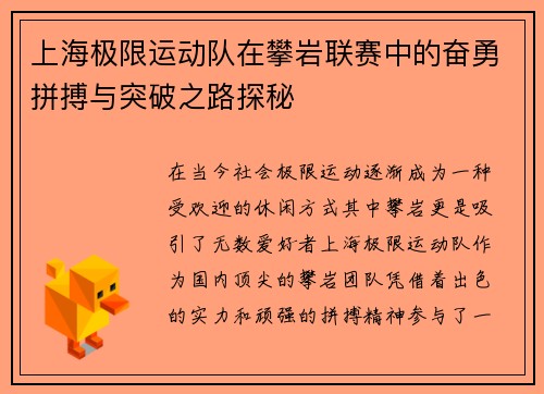 上海极限运动队在攀岩联赛中的奋勇拼搏与突破之路探秘