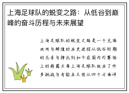 上海足球队的蜕变之路：从低谷到巅峰的奋斗历程与未来展望